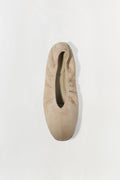 Danna Suede Ballet Flat